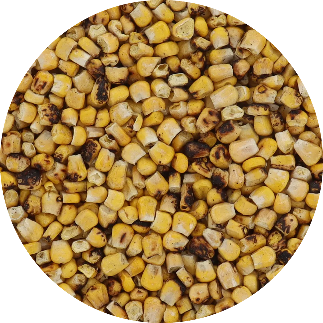 Freeze Dried Corn - Fire Roasted (100% Real Veggie) (Large Bag)