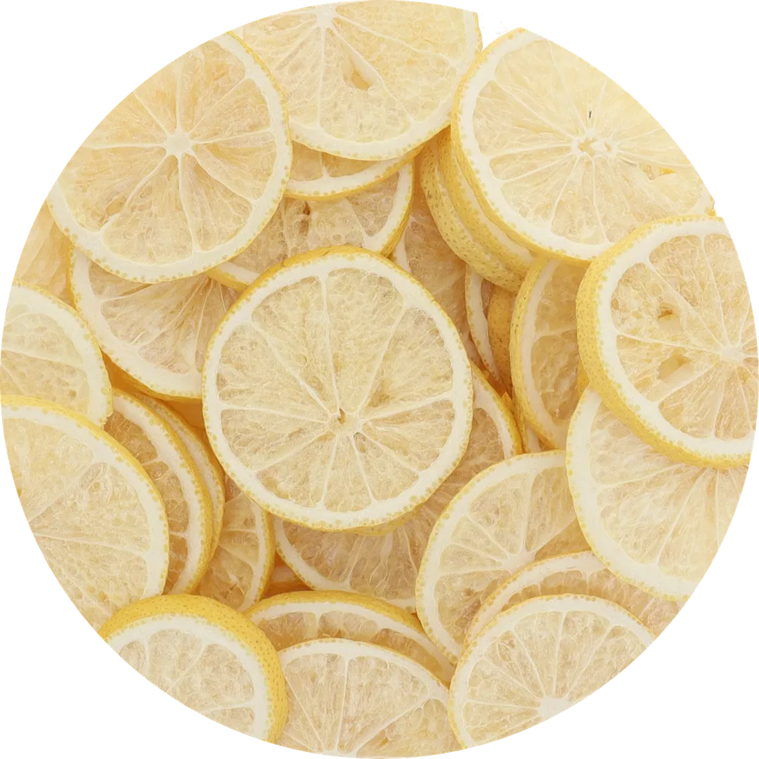 Freeze Dried Lemon Slices (100% Real Fruit) (Large Bag)