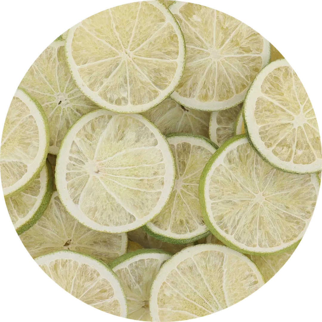 Freeze Dried Lime Slices (100% Real Fruit) (Large Bag)