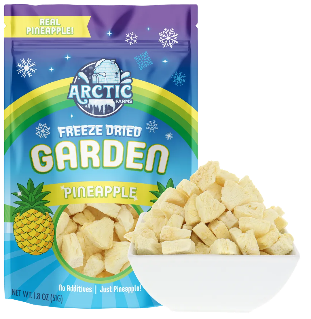 Freeze Dried Pineapple (100% Real Fruit) (Small Bag)