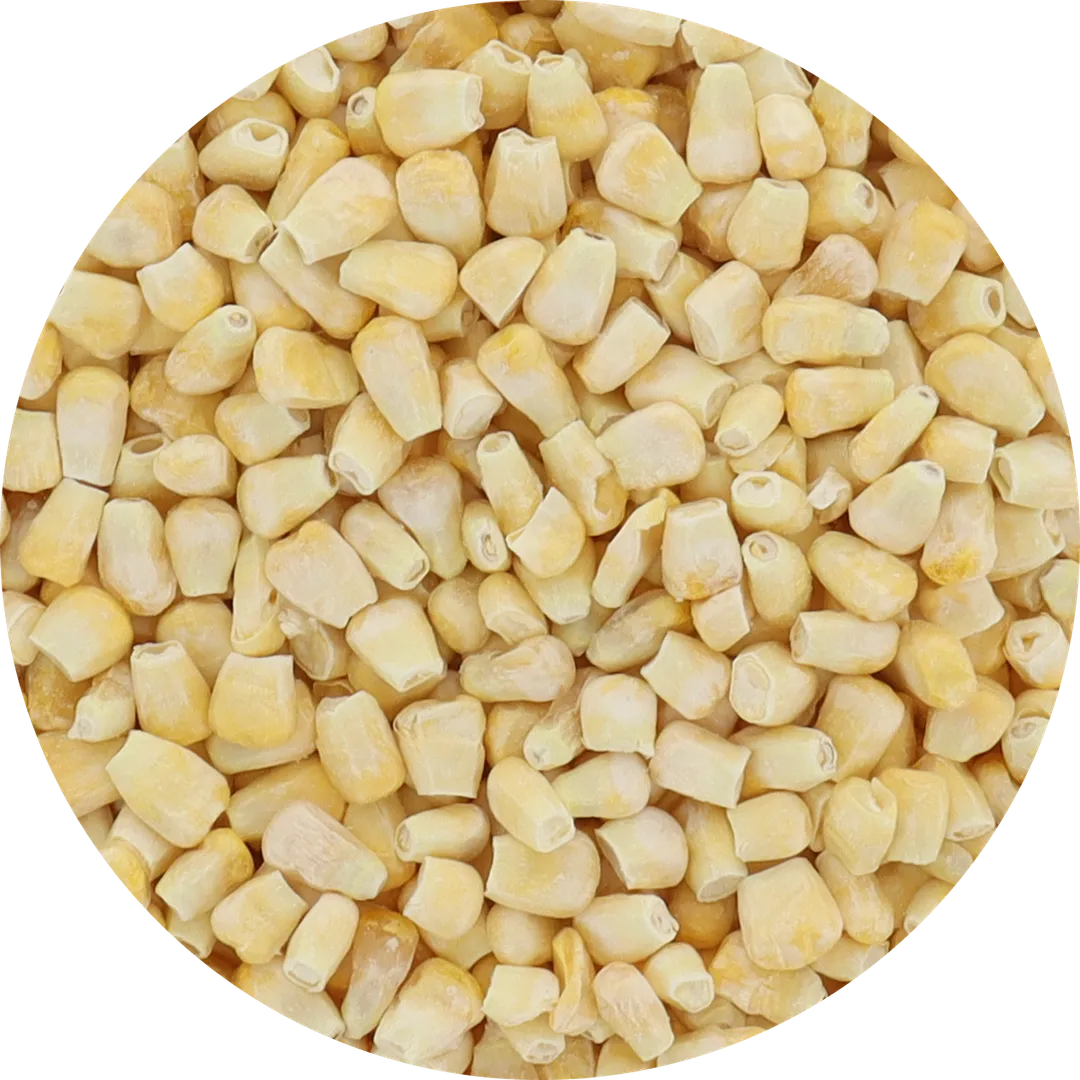 Freeze Dried Corn - Plain (100% Veggie) (Small Bag)