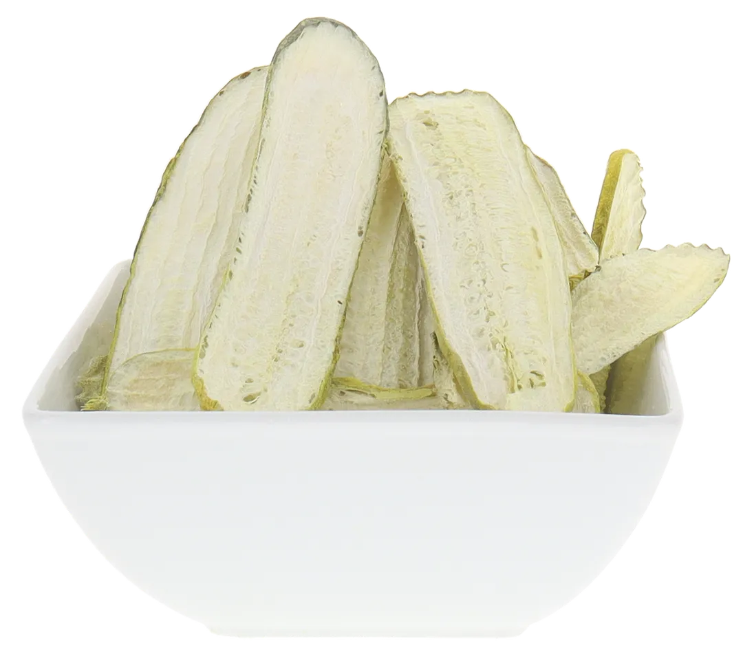 Freeze Dried Dill Pickle Slices (Jersey Pickles) (Large Bag)