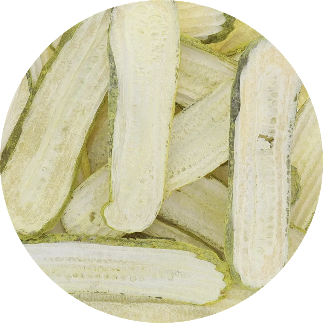Freeze Dried Dill Pickle Slices (Jersey Pickles) (Large Bag)