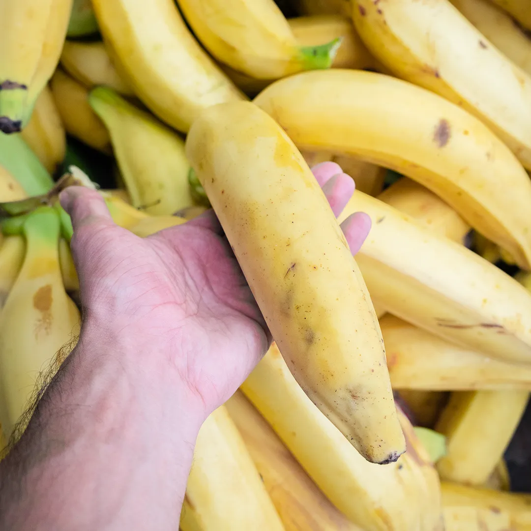 4.5 oz Plantain Chips: Naturally Sweet