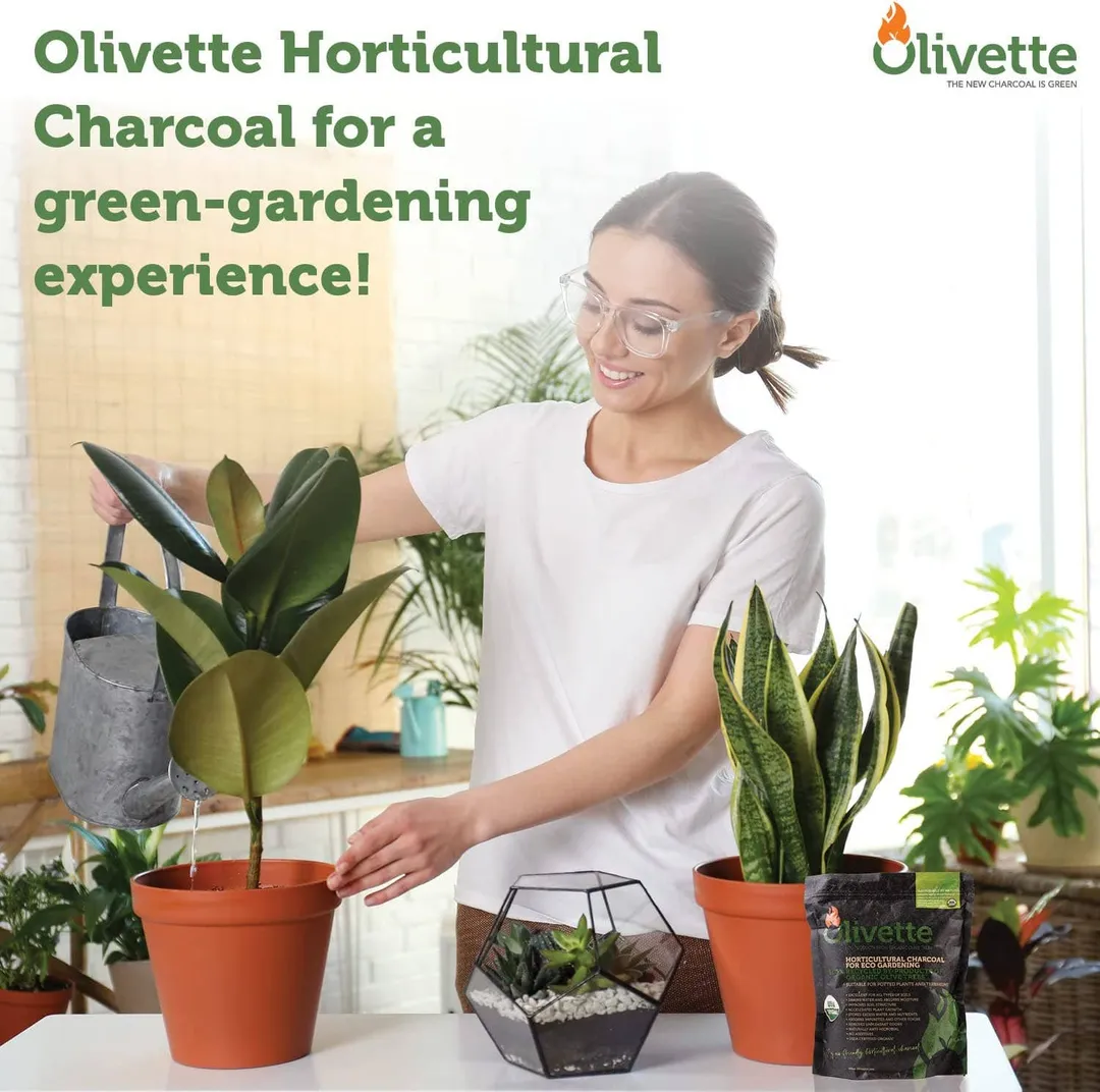 Olivette Horticultural Activated Charcoal for Plants | 1/4 bag