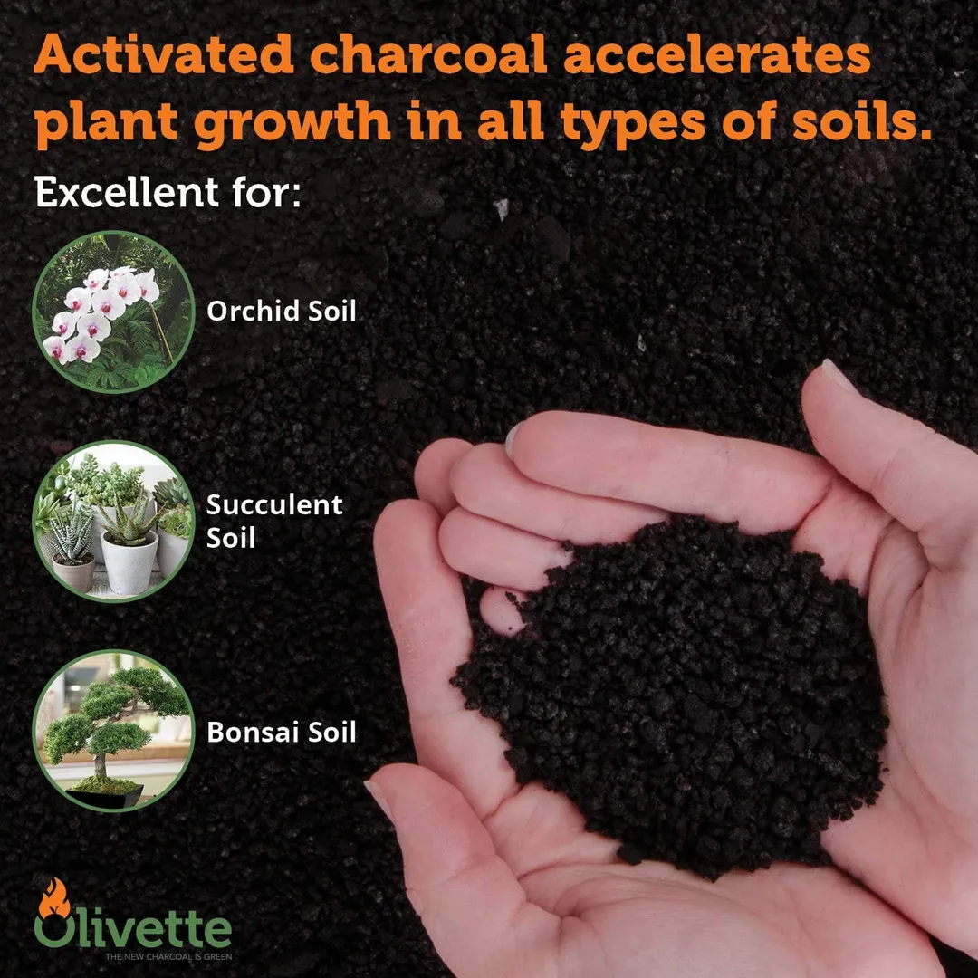 Olivette Horticultural Activated Charcoal for Plants | 1/4 bag