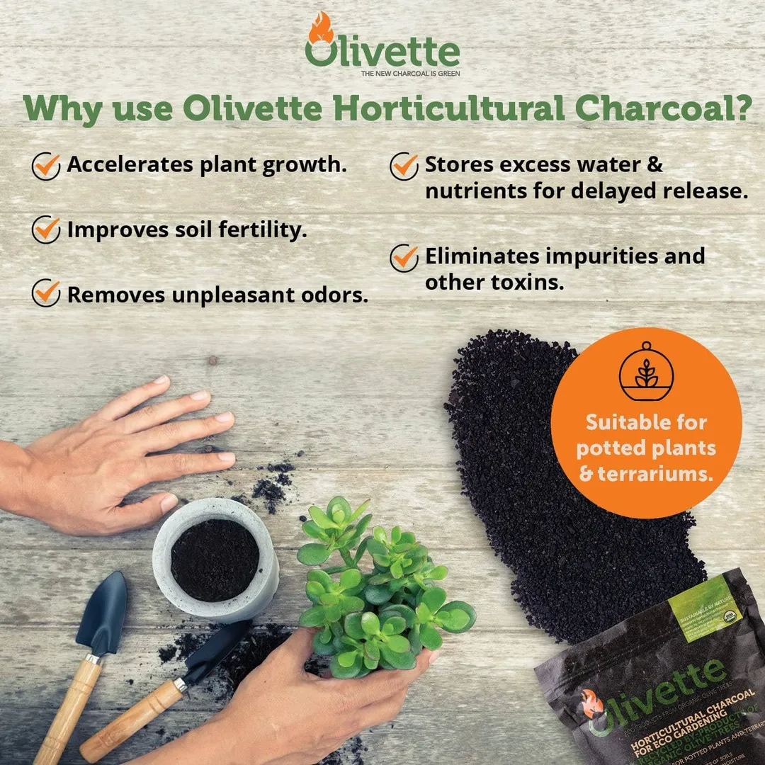 Olivette Horticultural Activated Charcoal for Plants | 1/4 bag