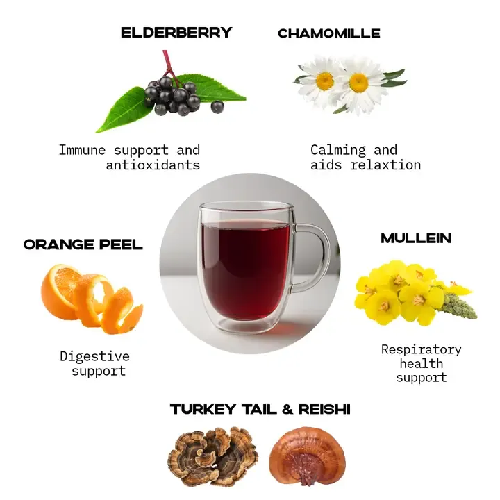Loose Leaf Elderberry Turkey Tail and Reishi Mushroom Tea