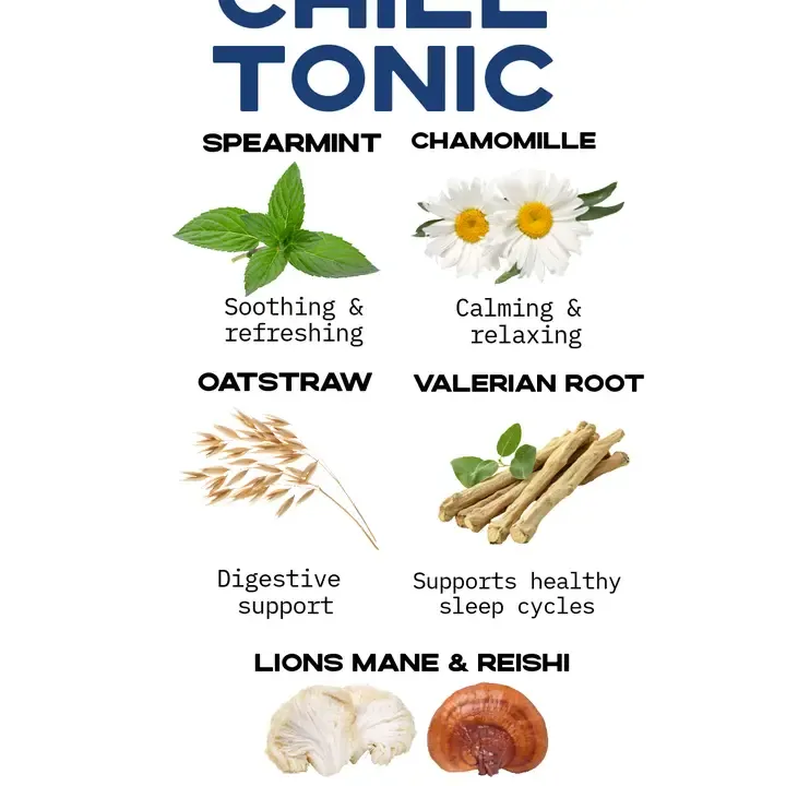 Loose Leaf Spearmint Chamomile Lions Mane Reishi Mushroom Tea
