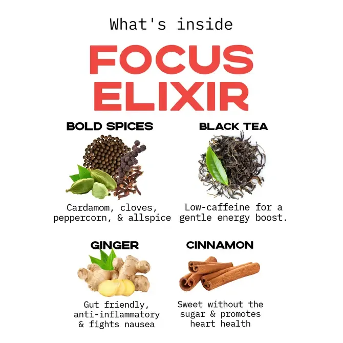 Loose Leaf Spicy Chai Lions Mane and Cordyceps Mushroom Tea