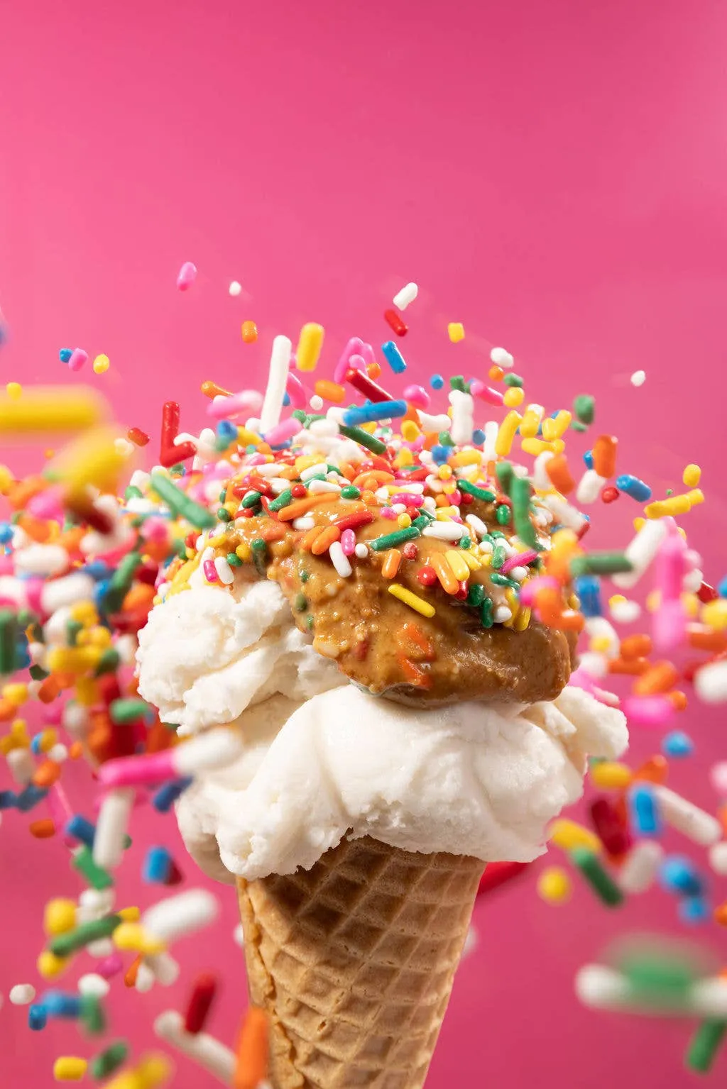 Rainbow Sprinkle Maximalist Peanut Butter — Case of 6