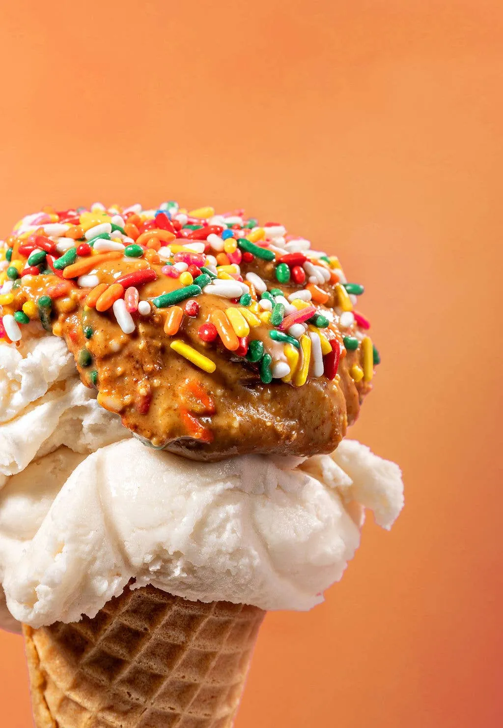 Rainbow Sprinkle Maximalist Peanut Butter — Case of 6