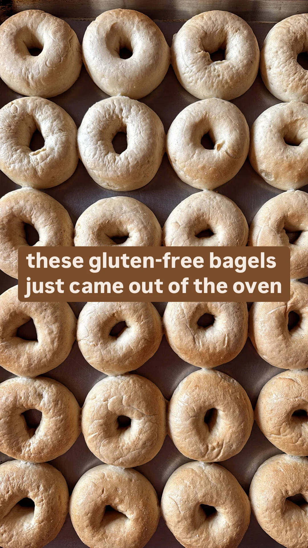 Gluten-Free Bagels (6-Pack) THESE ARE FROZEN 