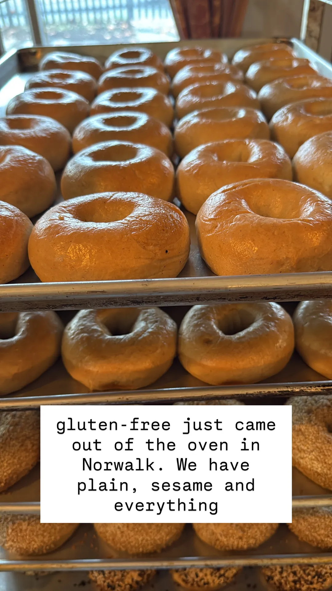 Gluten-Free Bagels (6-Pack) THESE ARE FROZEN 