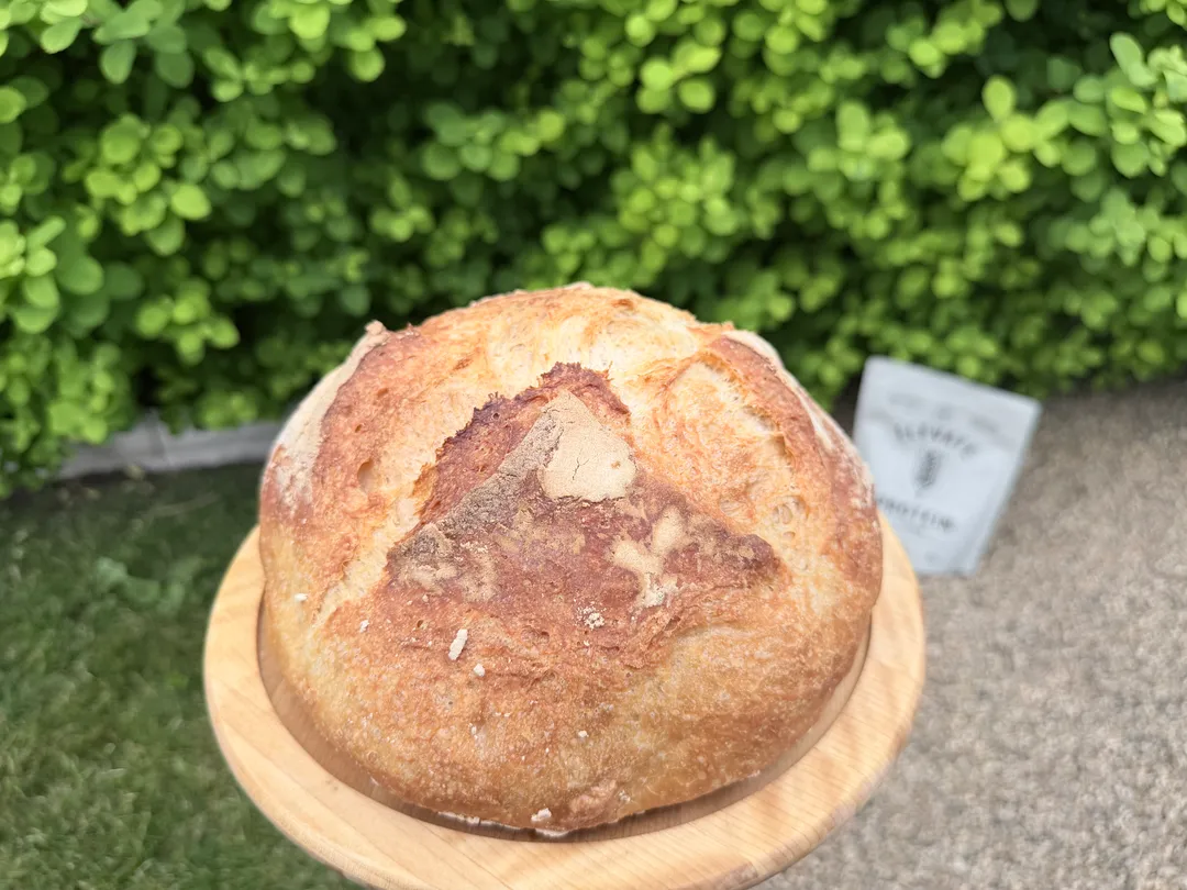 Elevate Protein Flour