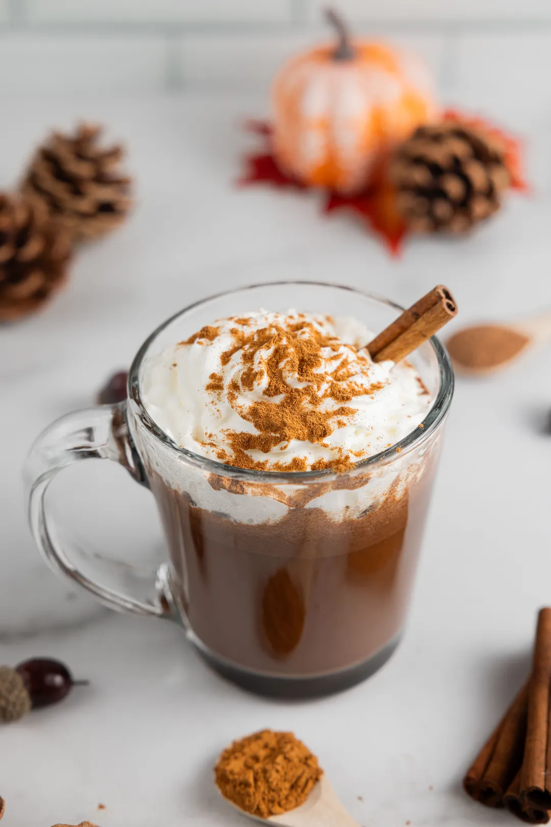 Dairy Free & Vegan Pumpkin Spice Hot Cocoa Mix - 9.52 oz Bag