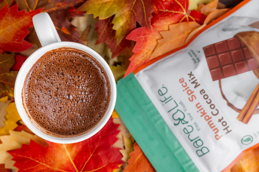 Dairy Free & Vegan Pumpkin Spice Hot Cocoa Mix - 9.52 oz Bag