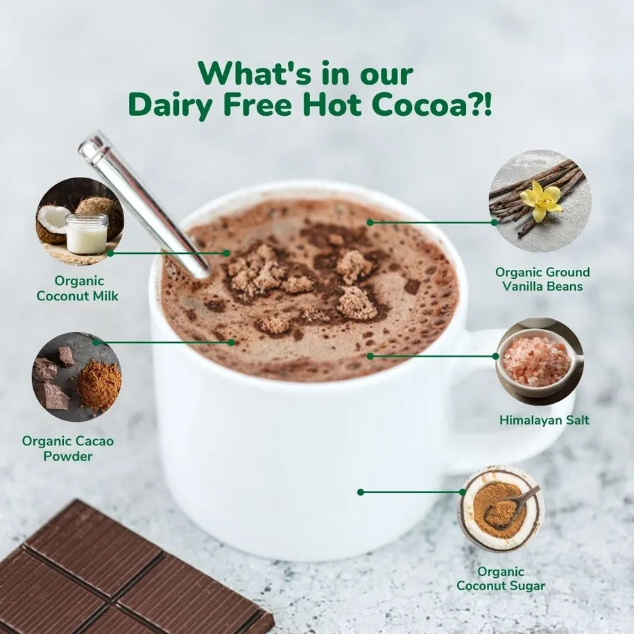 Dairy Free Coconut Hot Cocoa Mix | 20 Pack Single Serving | Gluten Free, Vegan and Organic