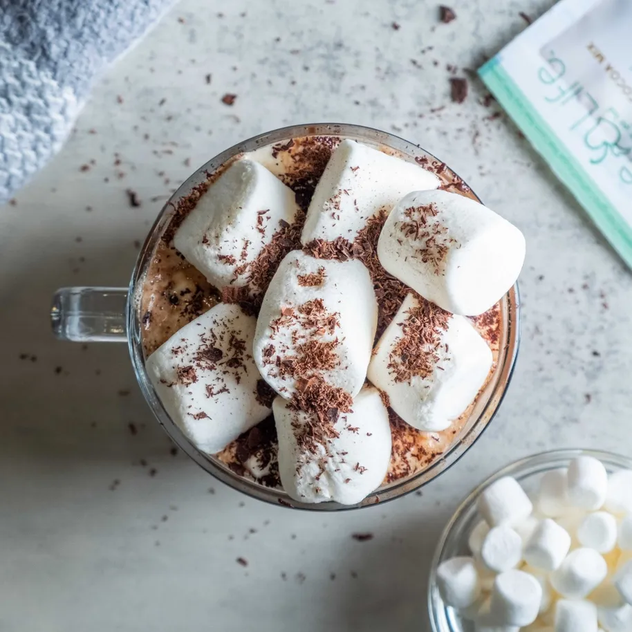 Dairy Free Coconut Hot Cocoa Mix | 20 Pack Single Serving | Gluten Free, Vegan and Organic