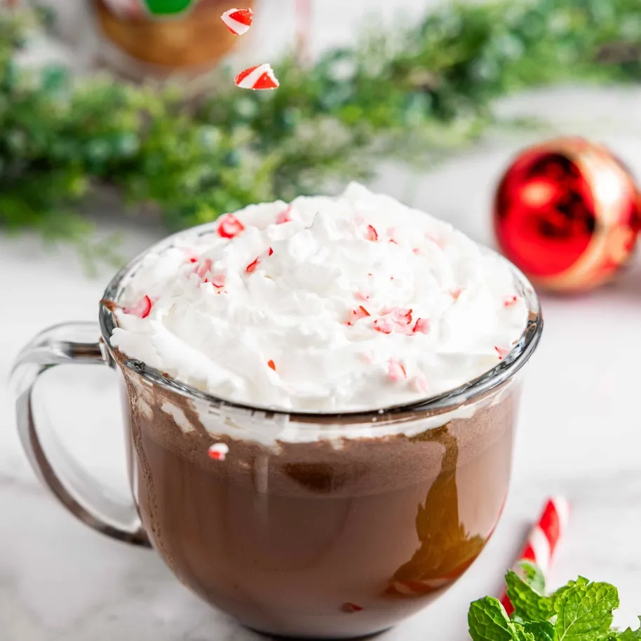 Dairy Free & Vegan Peppermint Hot Cocoa Mix 0.95 oz (5 Ct.)
