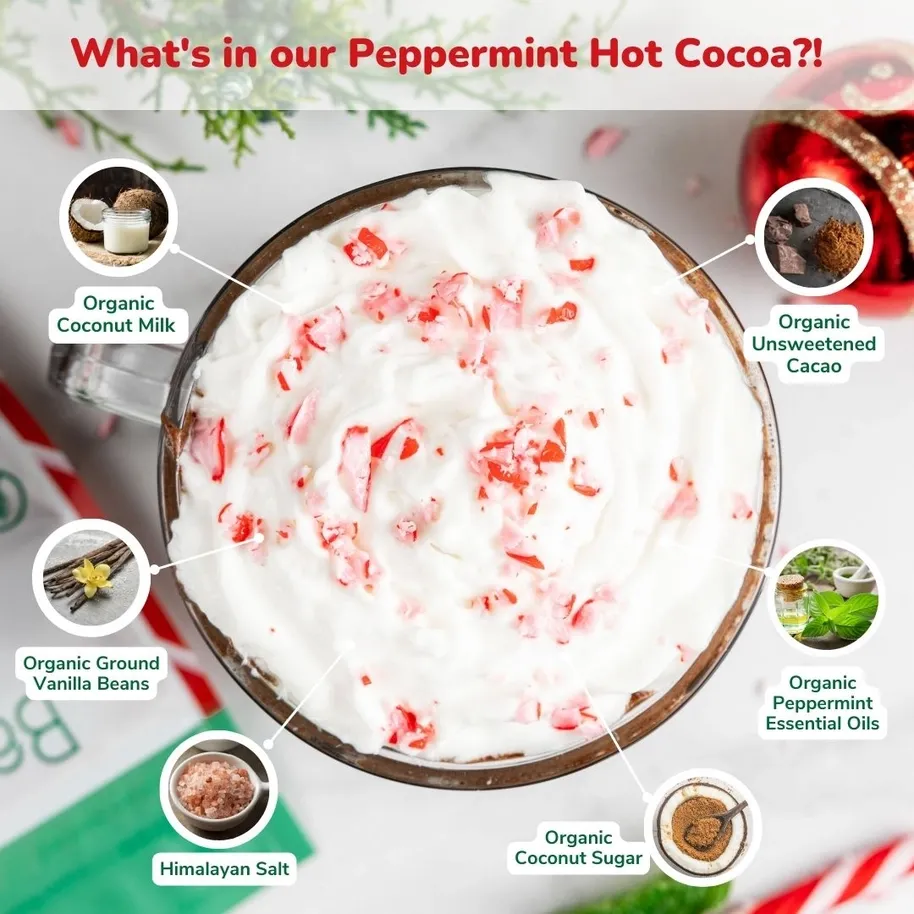 Dairy Free & Vegan Peppermint Hot Cocoa Mix 0.95 oz (5 Ct.)