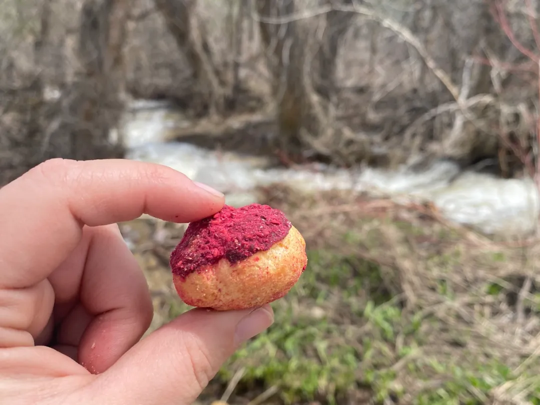 Freeze Dried - Raspberry Cream Puffs