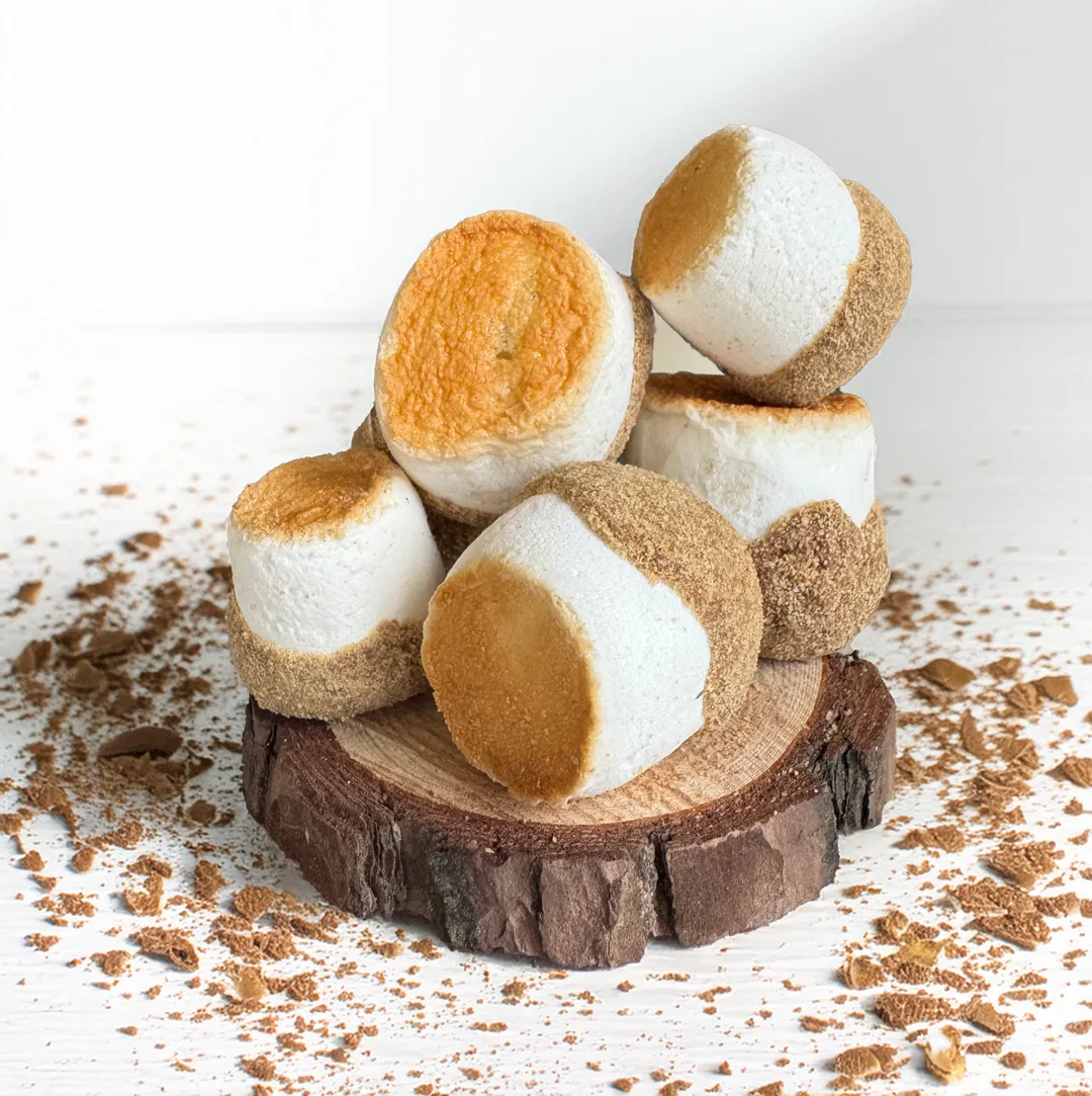Freeze Dried - Fire Roasted S'more