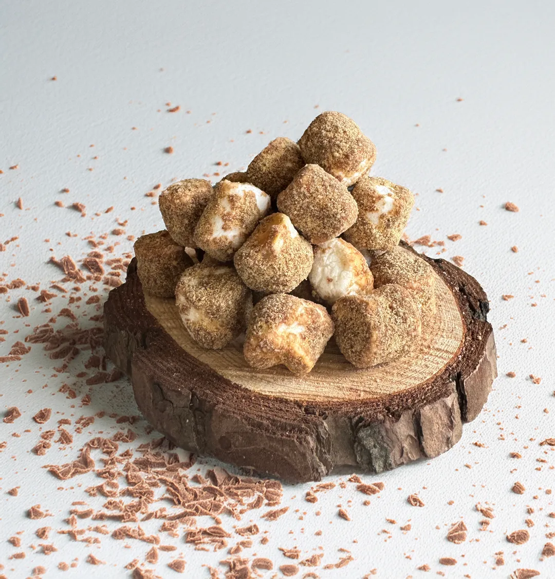 Freeze Dried - Mini Fire Roasted S'mores