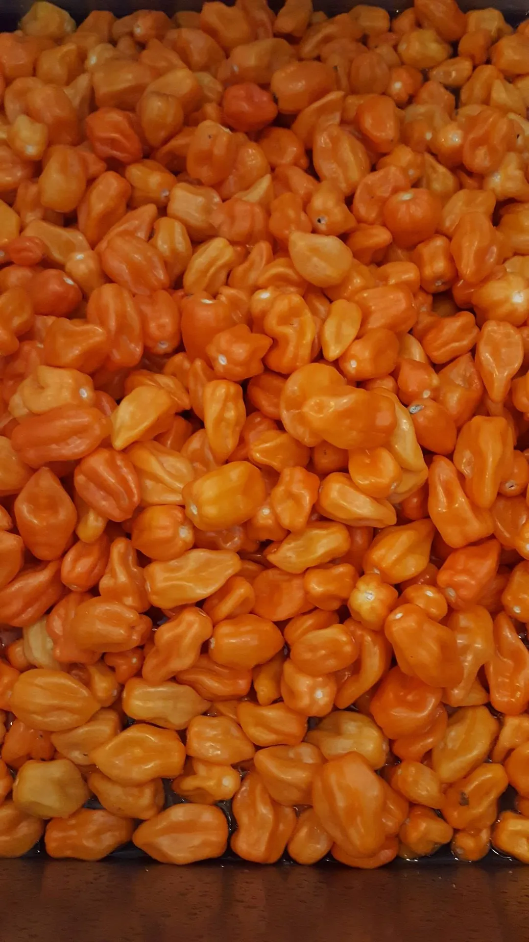 Beehive Brothers Hot Sauce (Habenero) - Small Batch