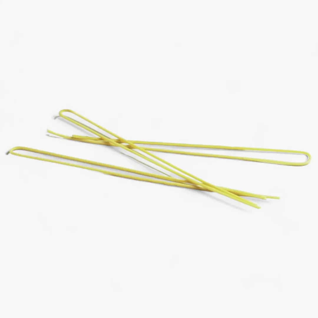 Bucatini Pasta