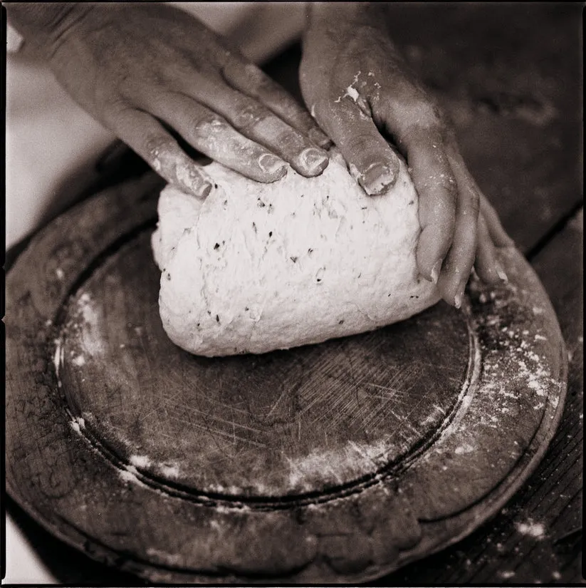 Tradizionale Pizza and Focaccia Dough