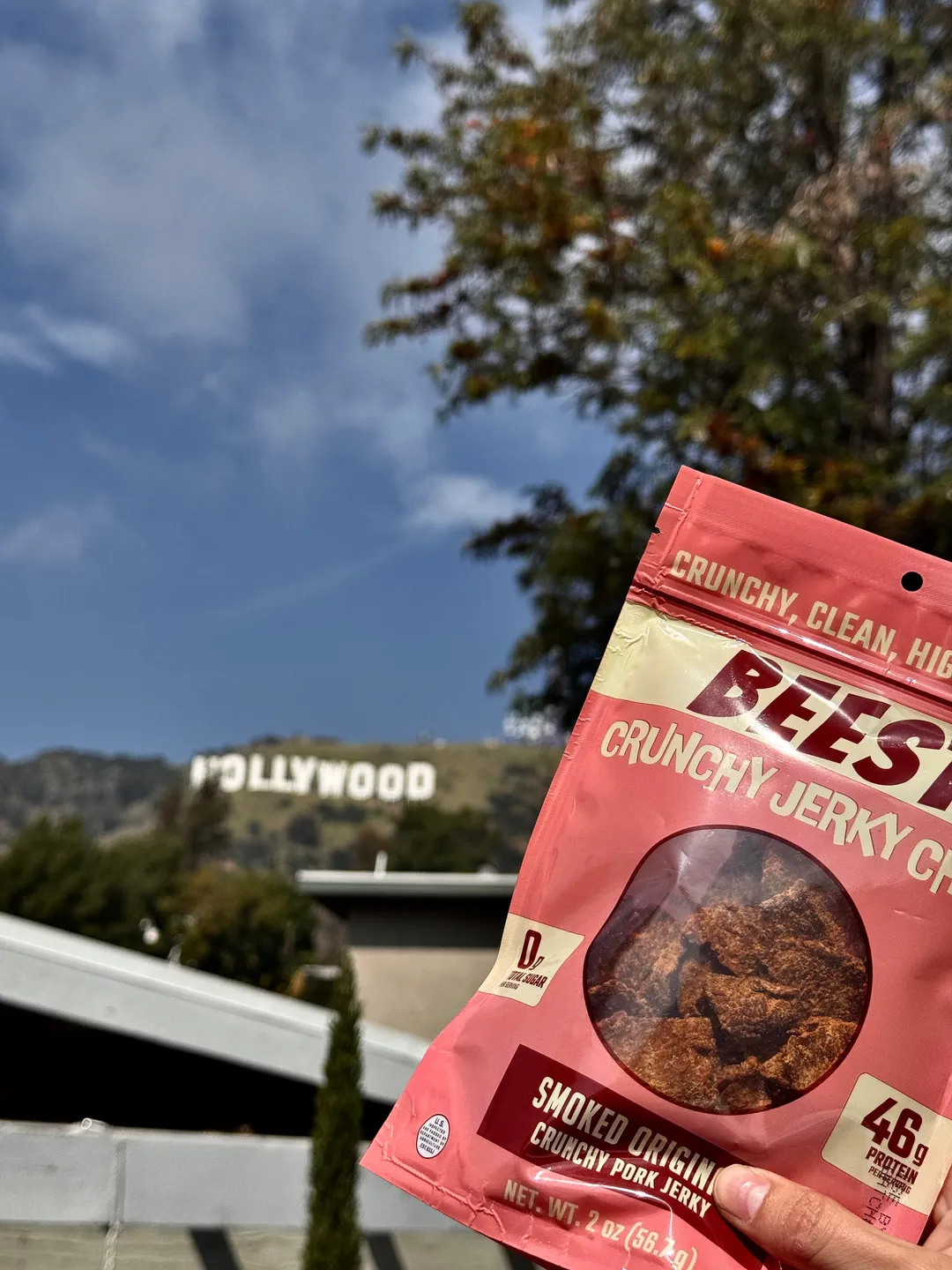 Crunchy Pork Jerky Chips – Smoked Original