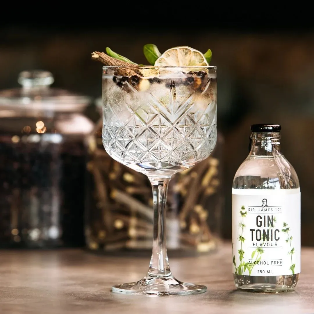 Sir. James 101 Alcohol-Free Gin Tonic