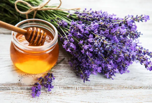 Lavender Infused Honey - 10 oz Jar

 (Copy)