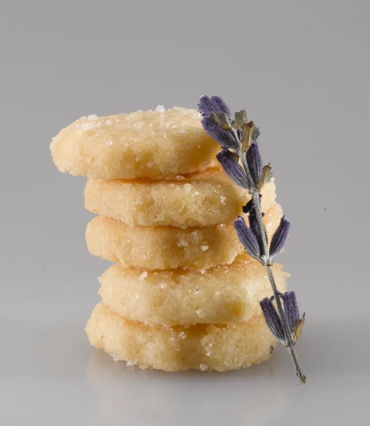 Long Lane Lavender (6.6 oz)