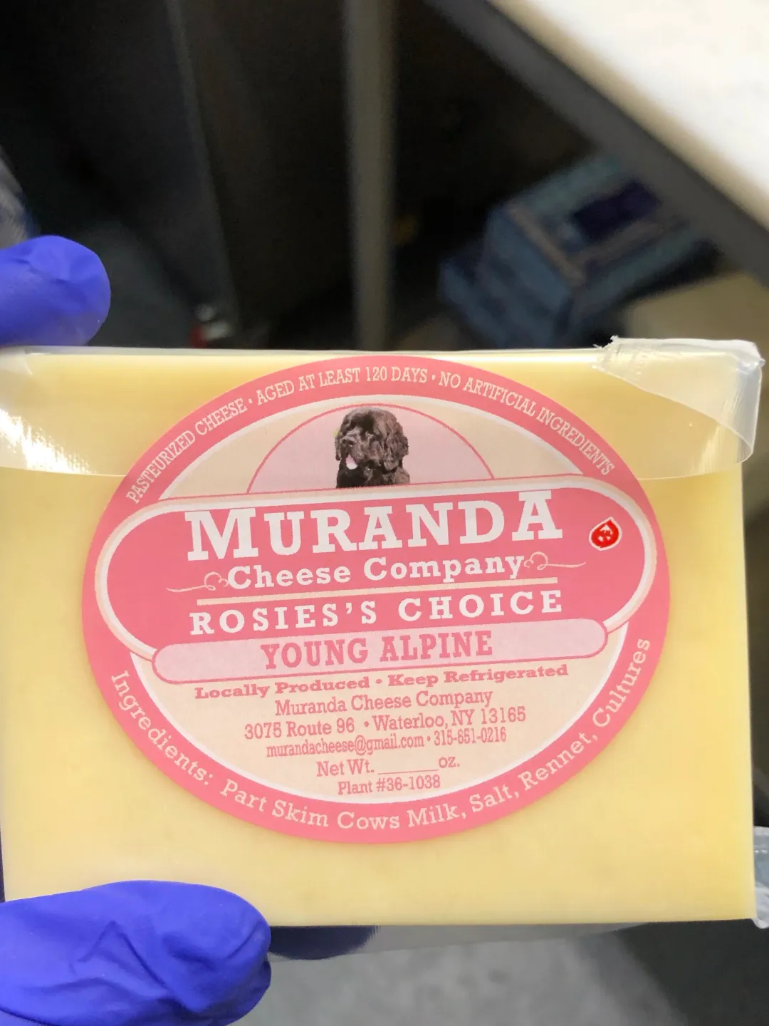 Rosie's Choice Young Alpine