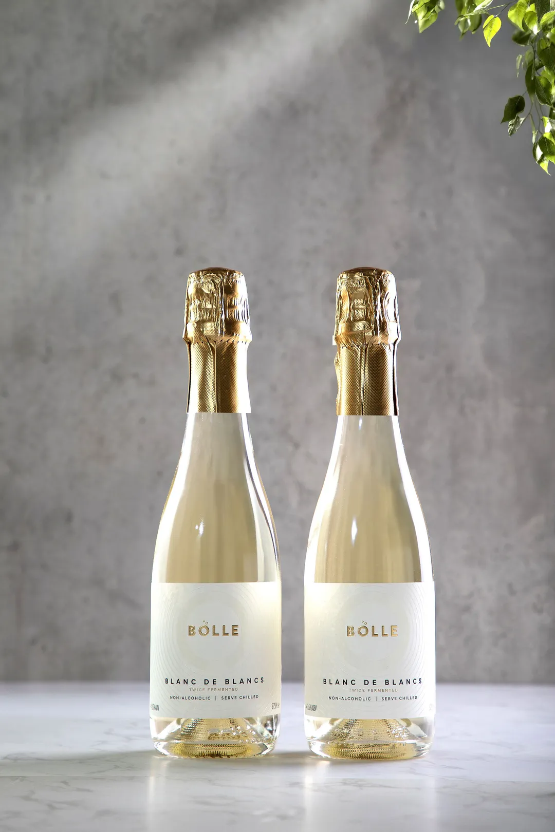 Blanc de Blancs 375ml - same great wine in a half bottle