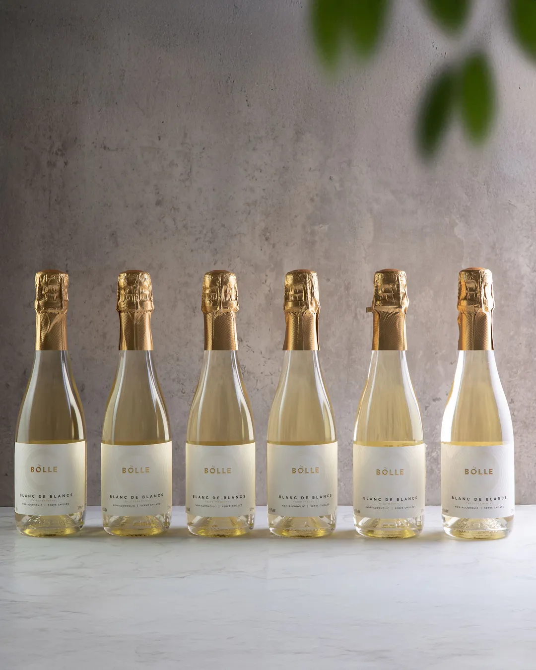 Blanc de Blancs 375ml - same great wine in a half bottle