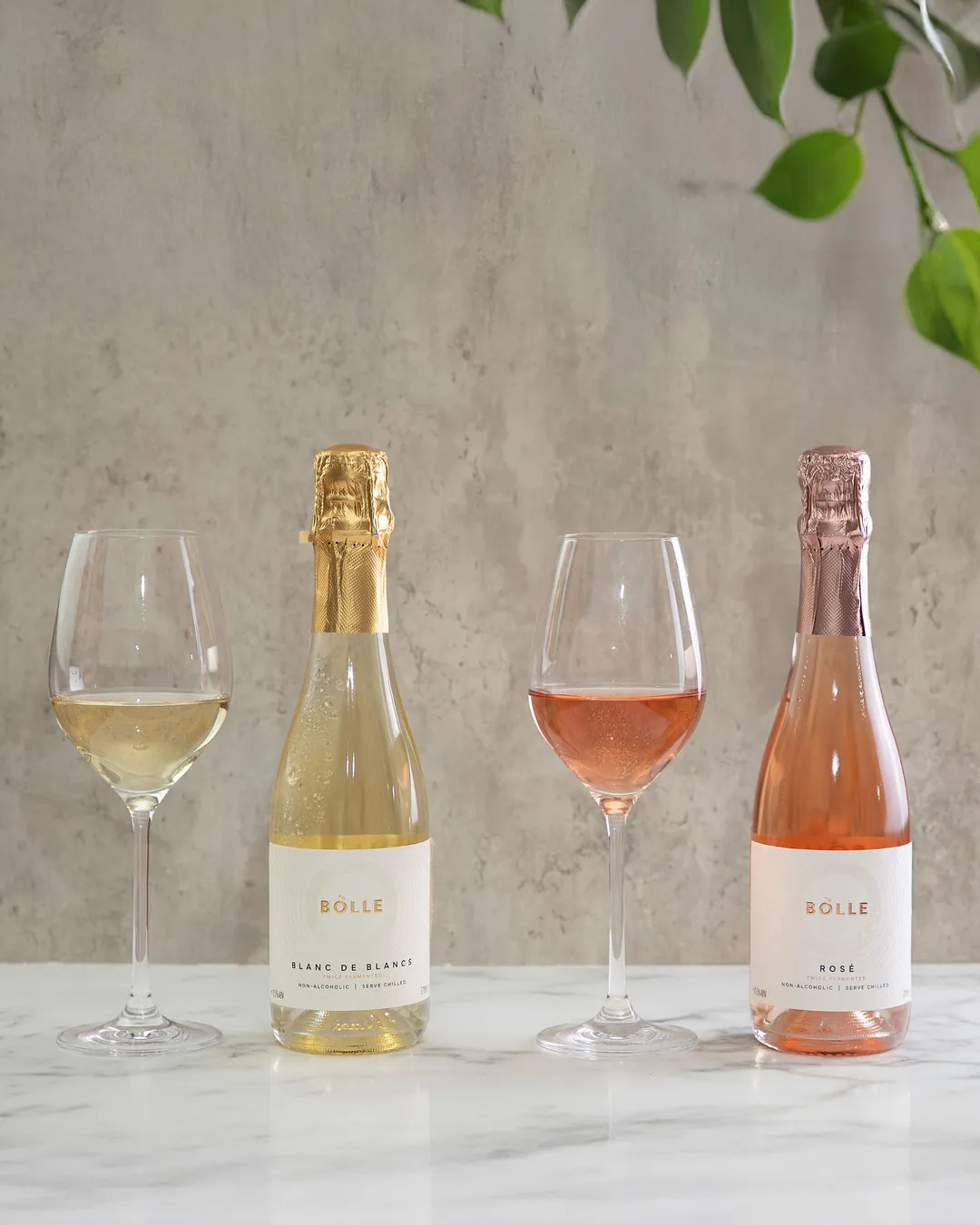 Blanc de Blancs 375ml - same great wine in a half bottle