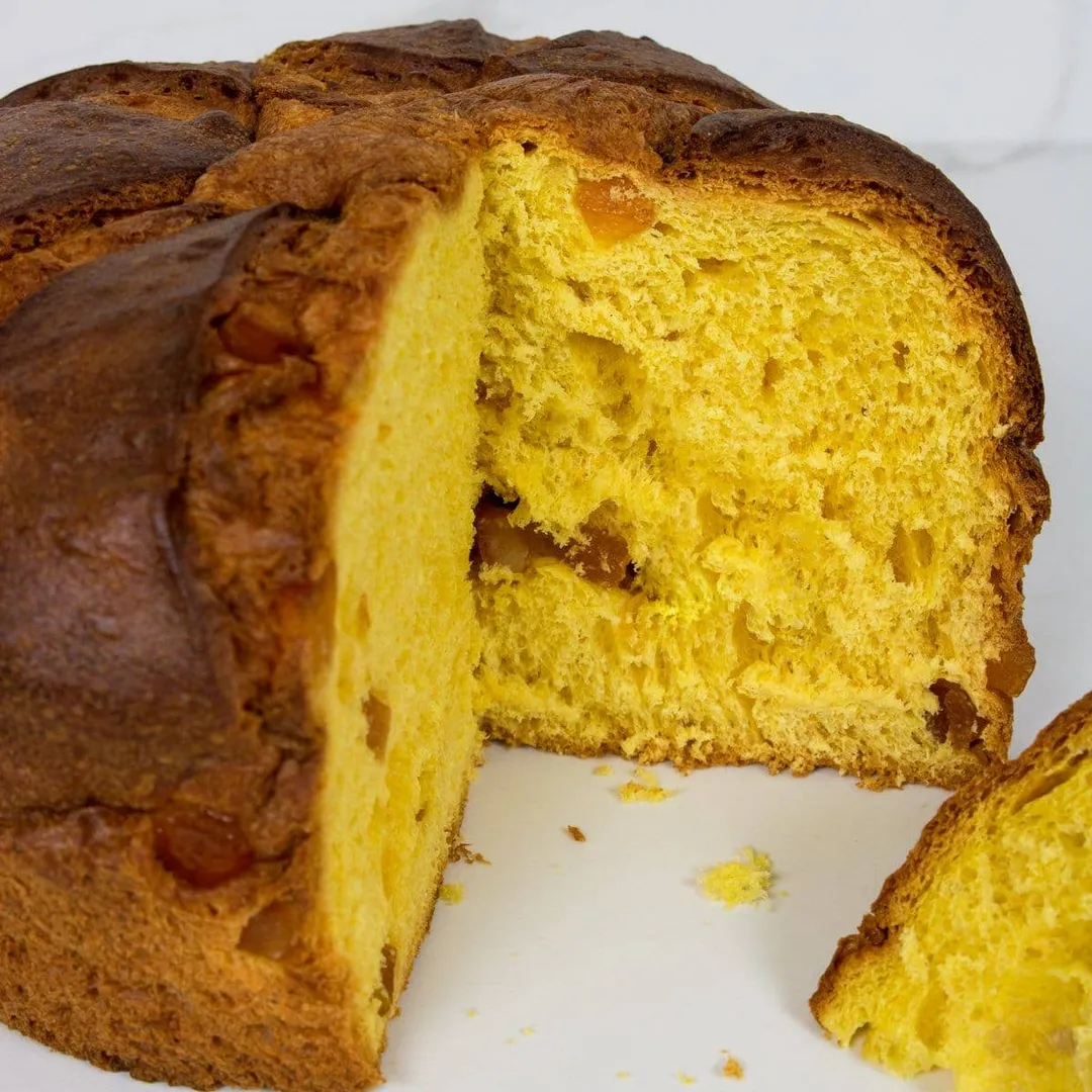 Blood Orange & Olive Oil Panettone
