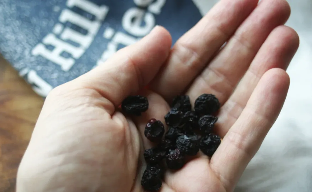 Organic Heirloom Dried Blueberries