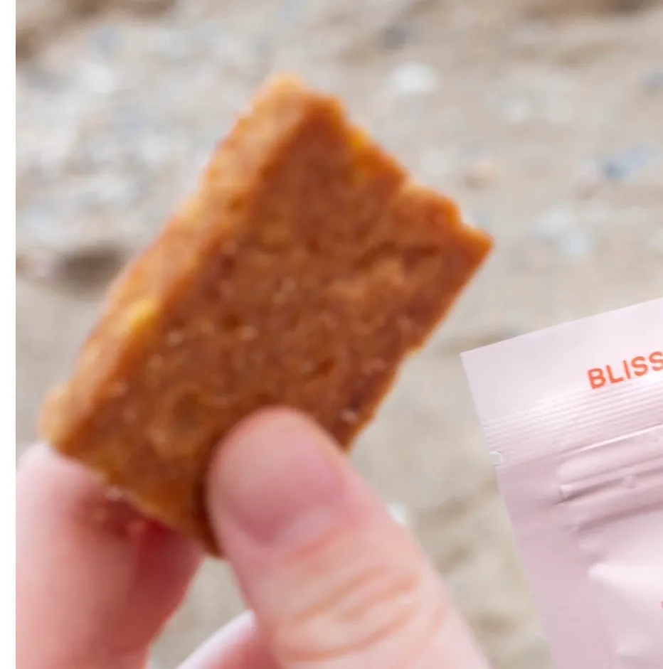 Italian Cookie Brittle – Cinnamon Walnut | Pouch Bag