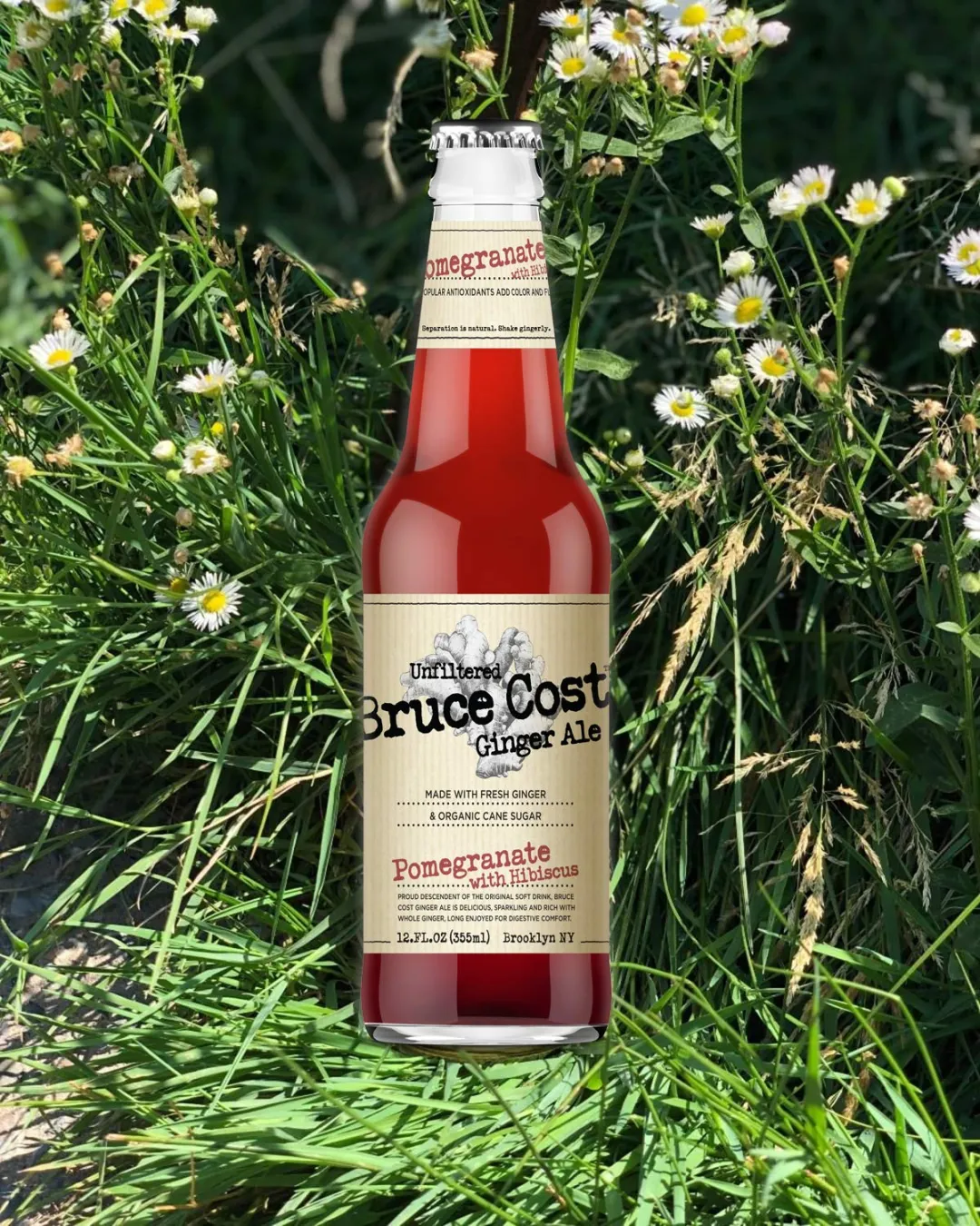Bruce Cost Ginger Ale - Pomegranate with Hibiscus