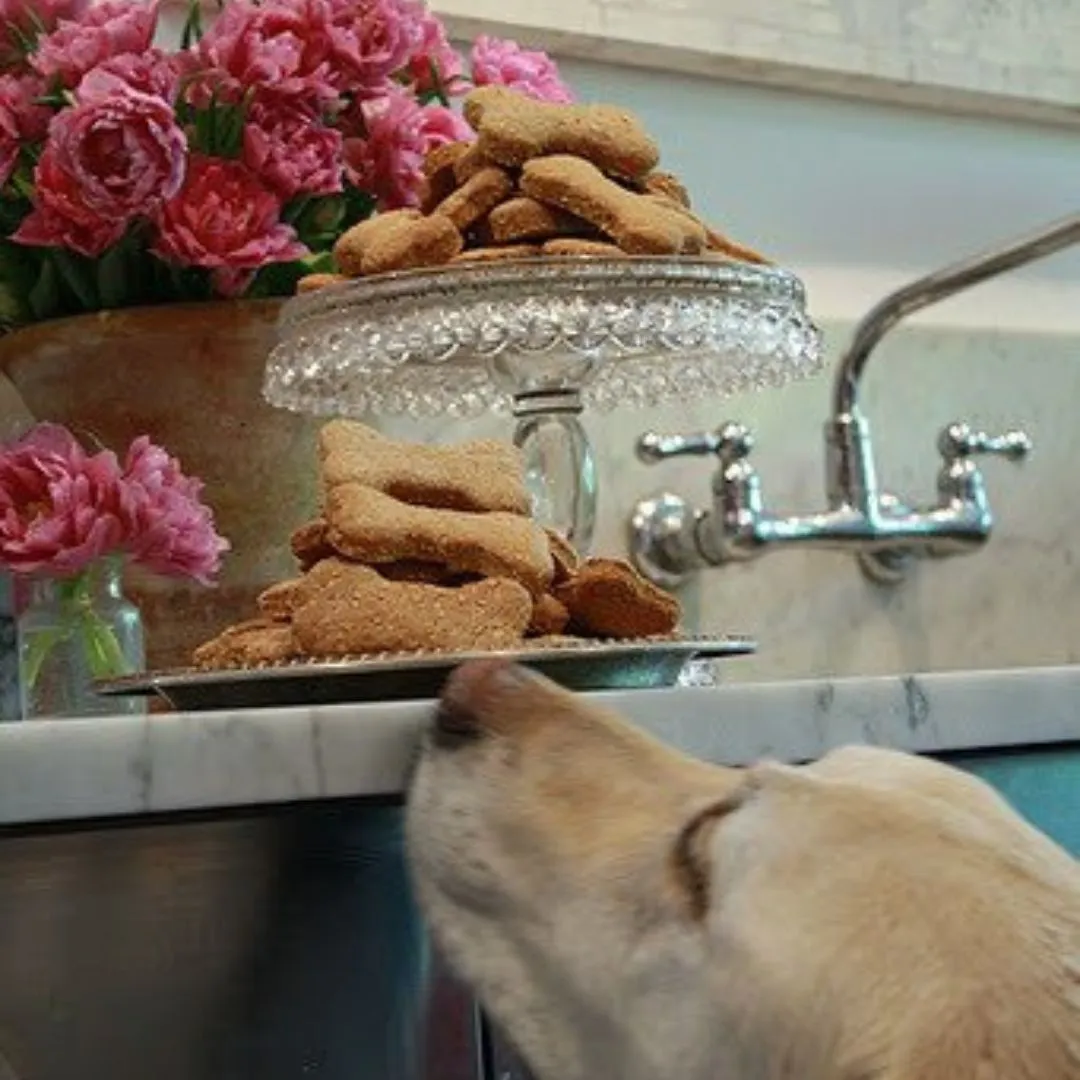 Bailey's Dog Biscuits