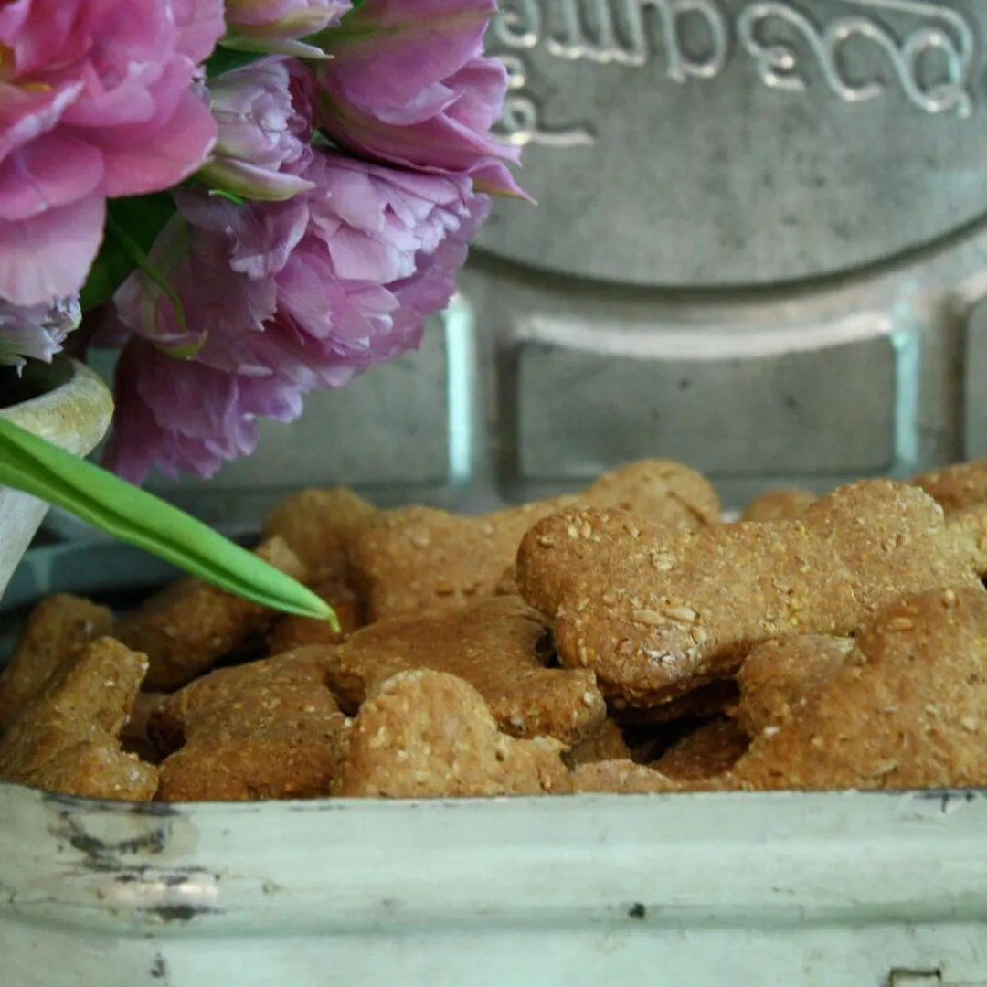 Bailey's Dog Biscuits