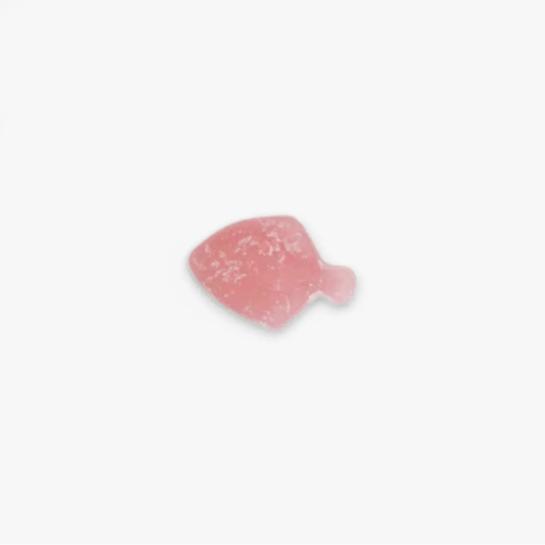 Kolsvart Piggvar Sour Blueberry Candy Fish 4.25oz