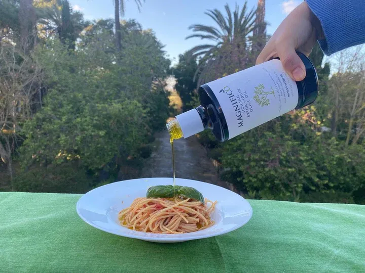 Magnifico EVOO Large Bottle - 16.9 oz (500 ml)