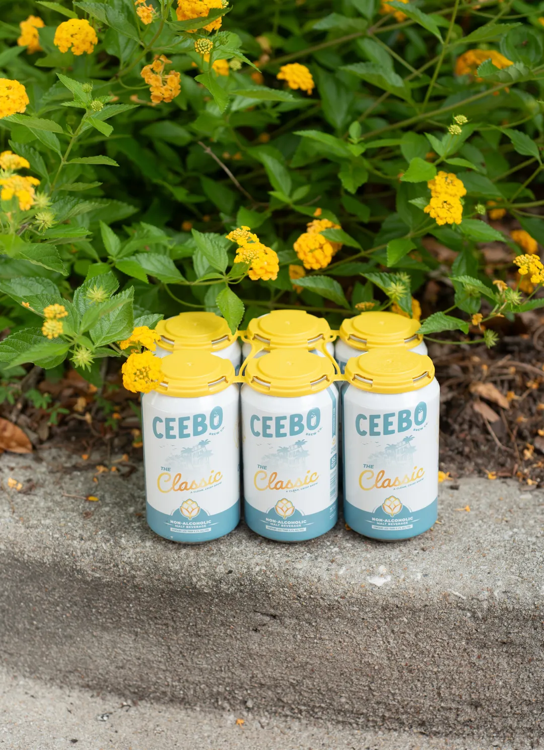 Ceebo Brew Co. "The Classic", 12 oz. Cans (24pk)