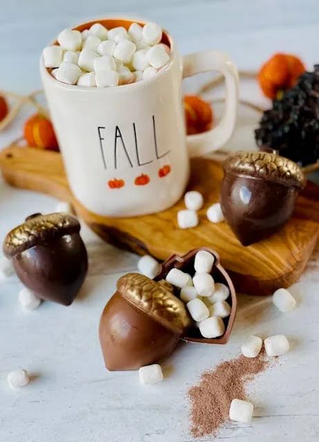 Hot Cocoa Bomb Acorn