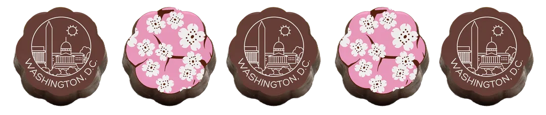 Washington DC Skyline and Cherry Blossom Chocolate Covered Caramels